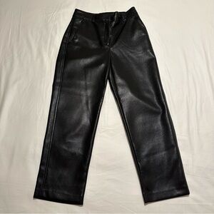 Aritzia Babaton Command Pant